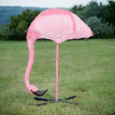 Wildcrete Flamingo feeding